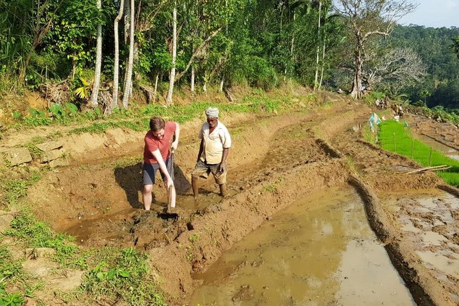 Knuckles Spice Trail Trek From Kandy - The Sum Up