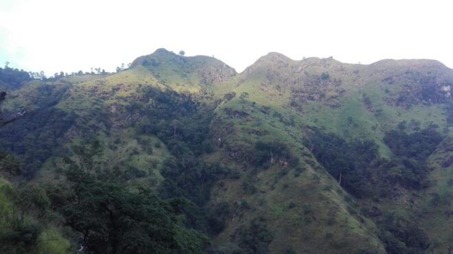 Knuckles Tuk Tuk Safari & Short Hiking - Pricing and Booking Details