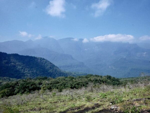 Knuckles Tuk Tuk Safari & Short Hiking - Customer Reviews and Feedback