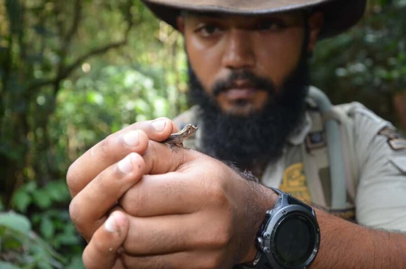 Knuckles: Wildlife Tours with FGASA Field Guides - A 5-Hour Journey Through Sri Lanka’s Knuckles Range