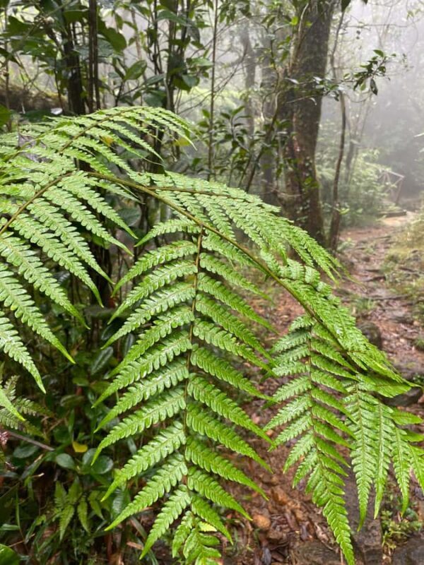 Knuckles: Wildlife Tours with FGASA Field Guides - Who Will Love This Experience?