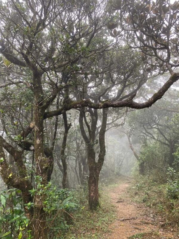 Knuckles: Wildlife Tours with FGASA Field Guides - Final Thoughts