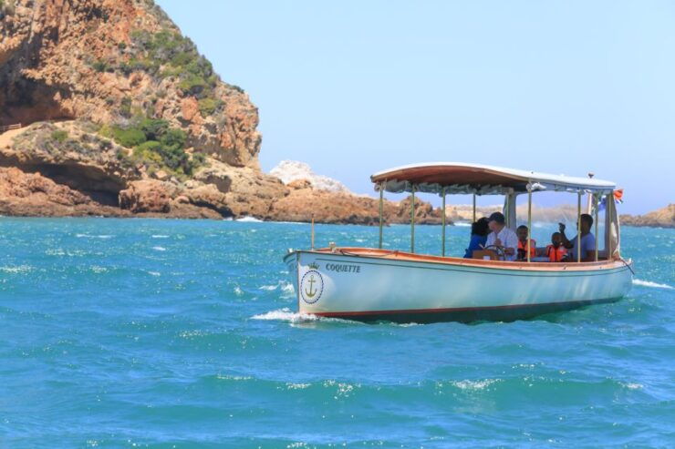 Knysna: 1-hour Heads Cruise on Coquette - Good To Know