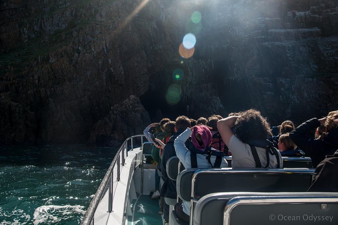 Knysna Dolphin Watching & Garden Route Coastline Experience - Cancellation Policy and Additional Information