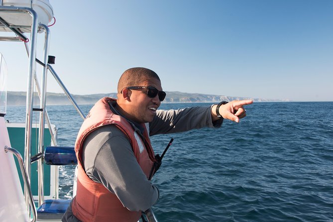 Knysna Dolphin Watching & Garden Route Coastline Experience - The Sum Up