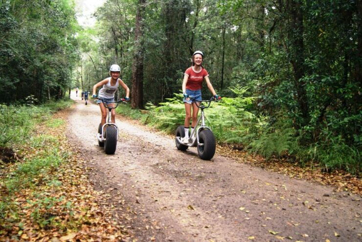Knysna: Downhill Forest Scootour Adventure - Experience