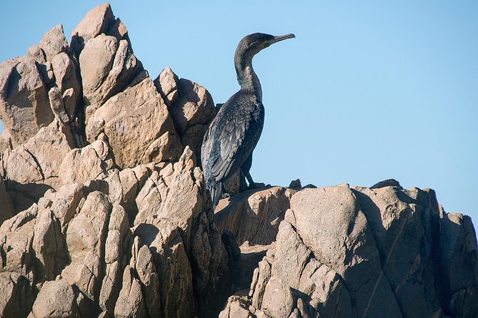 Knysna Heads & Lagoon Adventure Tour - Knysna Heads Exploration