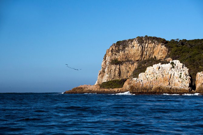 Knysna Heads & Lagoon Adventure Tour - Wildlife and Nature Commentary