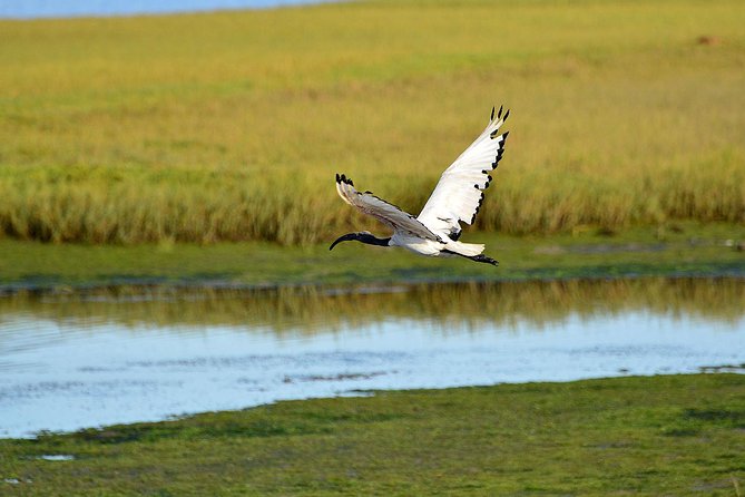 Knysna Heads & Lagoon Adventure Tour - Booking and Cancellation Policy