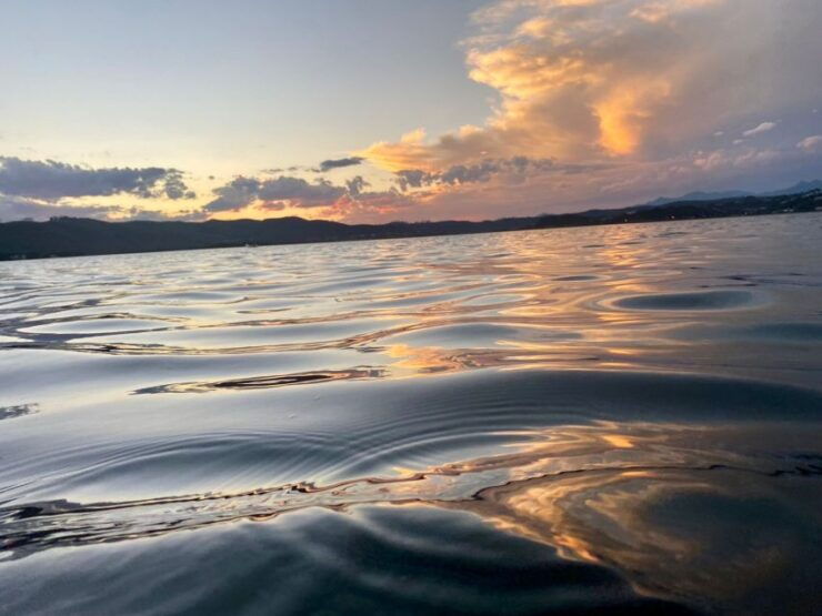 Knysna Lagoon Educational Oyster & White Wine Tasting Cruise - Good To Know