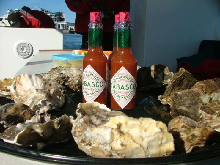 Knysna Lagoon Educational Oyster & White Wine Tasting Cruise - Cruise Details