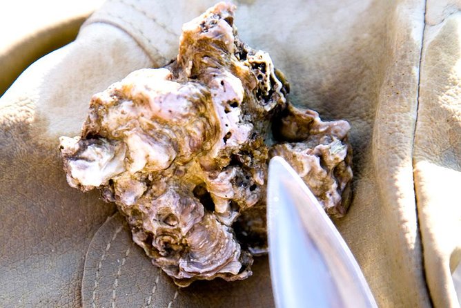 Knysna Oyster Tour - Cancellation and Refund Policy