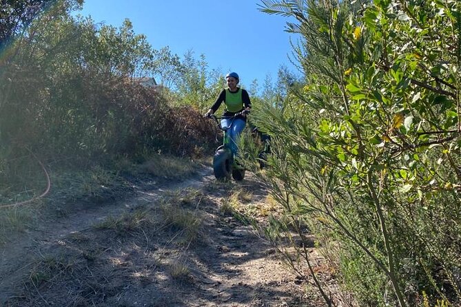 Knysna Scooter Tour - Reviews