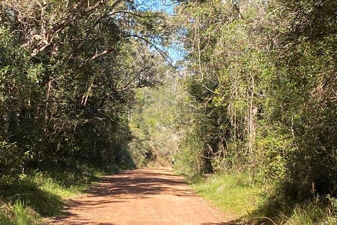 Knysna Scooter Tour - How to Get There