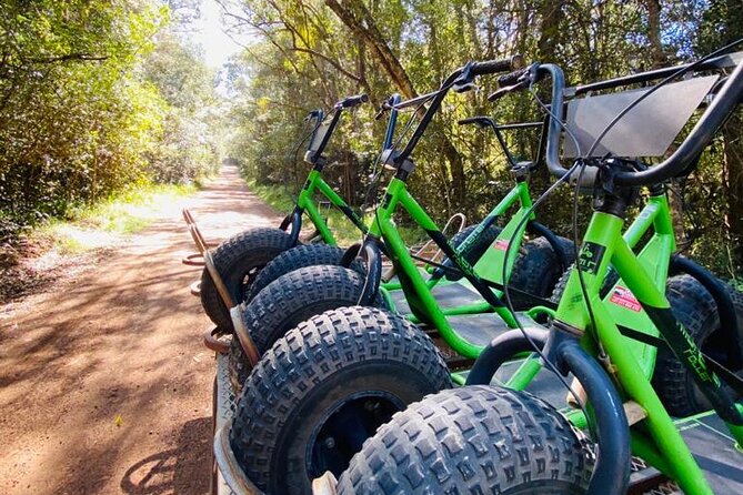 Knysna Scooter Tour - Safety Guidelines