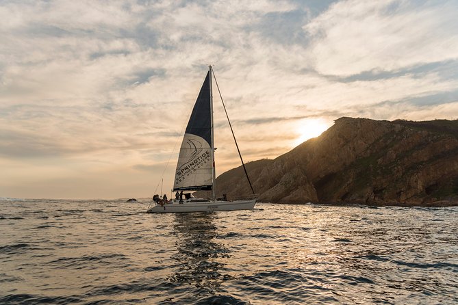 Knysna Sunset Sailing Cruise, Light Dinner & Bubbly - Common Questions