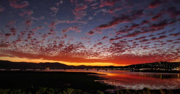 Knysna Sunset Sailing Cruise With Light Dinner and Wine - Good To Know