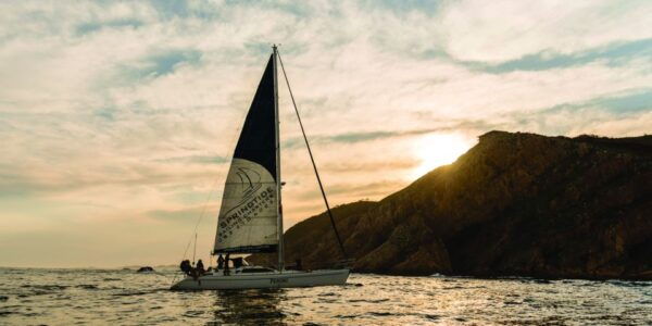 Knysna Sunset Sailing Cruise With Light Dinner and Wine - Customer Reviews Summary
