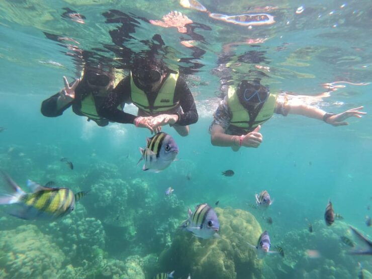 Ko Lanta: 4 Islands and Emerald Cave Day Tour by Speedboat - Key Points
