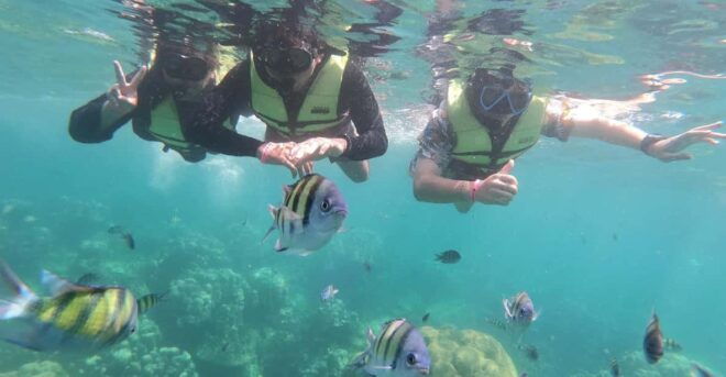 Ko Lanta: 4 Islands and Emerald Cave Day Tour by Speedboat - What to Bring
