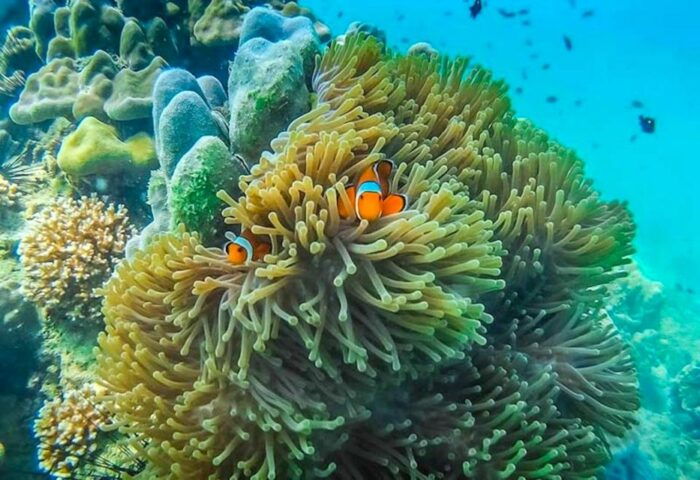 Ko Lanta: 4 Islands and Emerald Cave Snorkeling Trip - Frequently Asked Questions