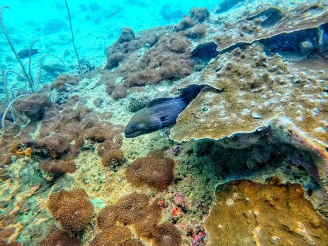 Ko Lanta: 4 Islands and Emerald Cave Snorkeling Trip - Directions