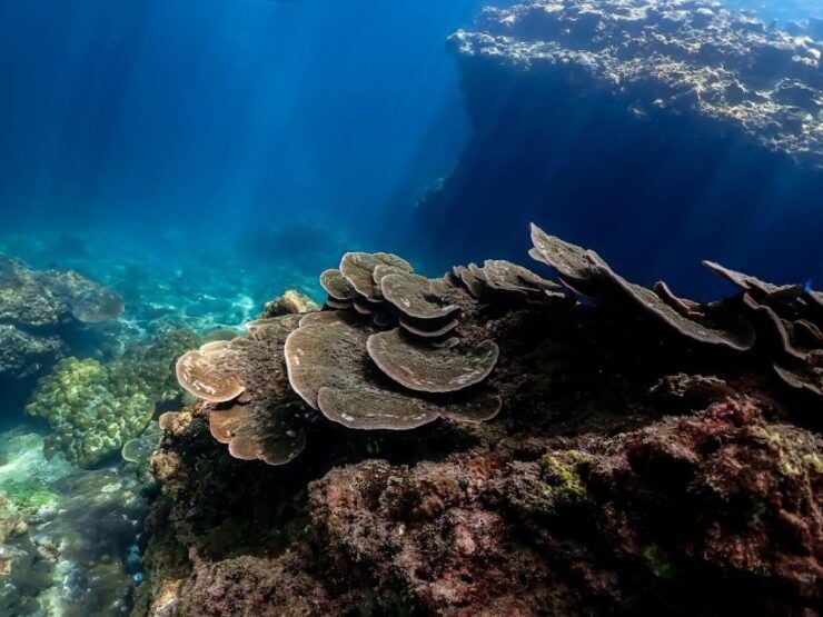 Ko Lanta: 4 Islands Classic Longtail Boat Tour Include Lunch - Pickup and Transportation
