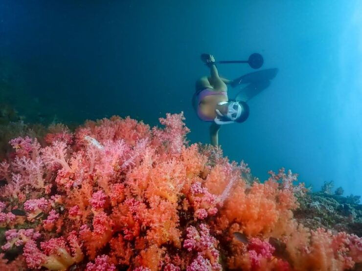 Ko Lanta: Free Diving Sea Fan at Ko Waen & Emerald Cave Tour - Activity Highlights