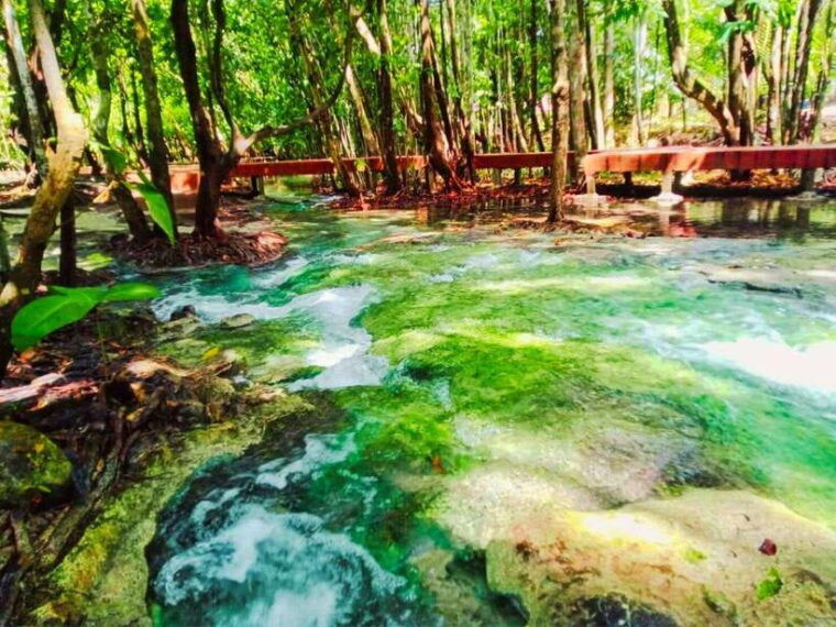 Ko Lanta: Full Day Emerald Pool&Hot Spring With Tiger Temple - Tiger Cave Temple