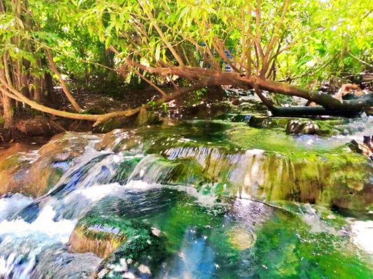 Ko Lanta: Full Day Emerald Pool&Hot Spring With Tiger Temple - Highlights
