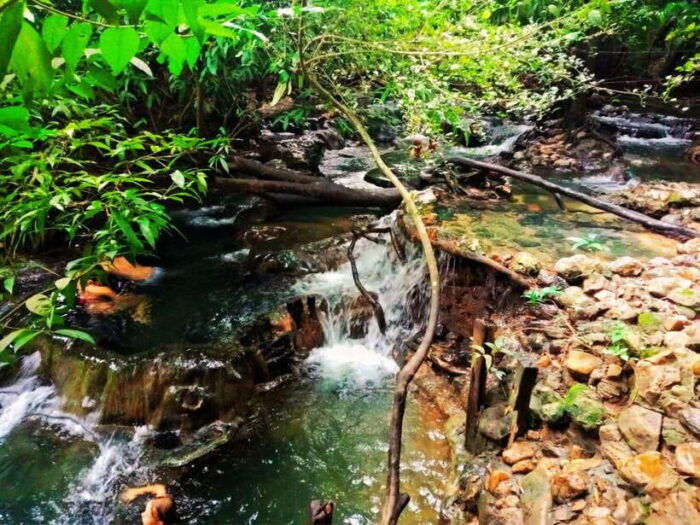 Ko Lanta: Full Day Emerald Pool&Hot Spring With Tiger Temple - Inclusions