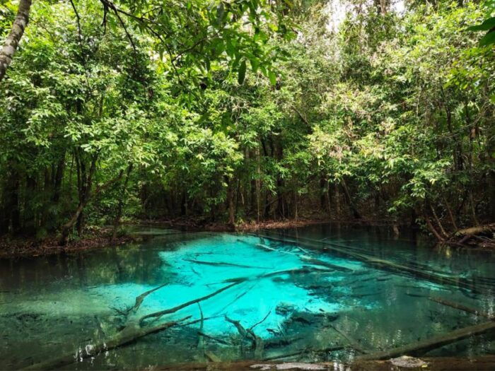 Ko Lanta: Full Day Emerald Pool&Hot Spring With Tiger Temple - Important Information