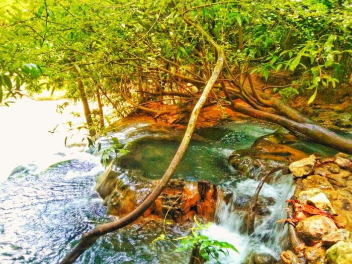 Ko Lanta: Full Day Emerald Pool&Hot Spring With Tiger Temple - Frequently Asked Questions
