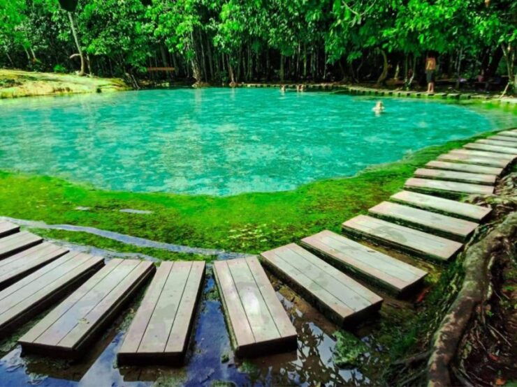 Ko Lanta: Full Day Jungle Tour With Tiger Temple - Tour Highlights