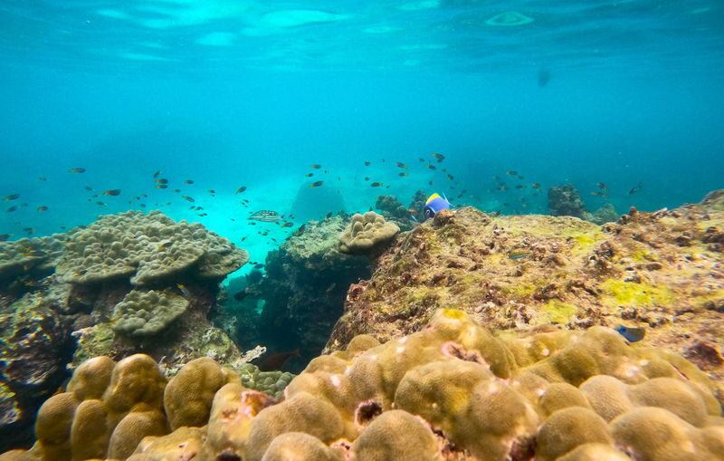 Ko Lanta Full-Day Koh Rok & Koh Haa Snorkeling Tour - Two island stops, one long day at sea