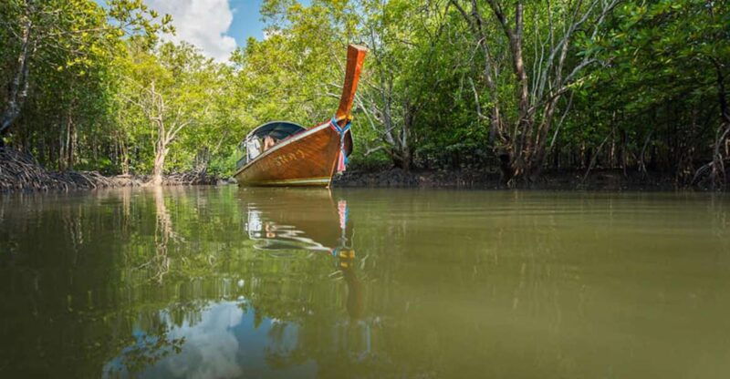 Ko Lanta: Half-Day Mangrove Boat Trip With Local Guide - Good To Know