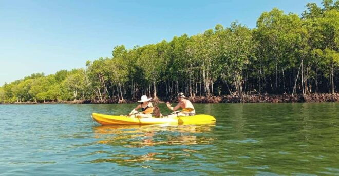 Ko Lanta: Half-Day Mangrove Eco Kayak Experience With Lunch - Important Information