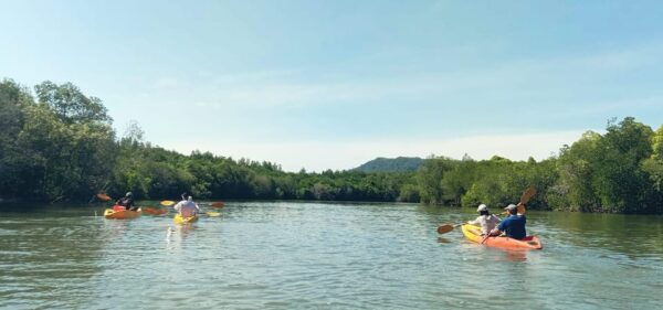 Ko Lanta: Half-Day Mangrove Eco Kayak Experience With Lunch - Break Down