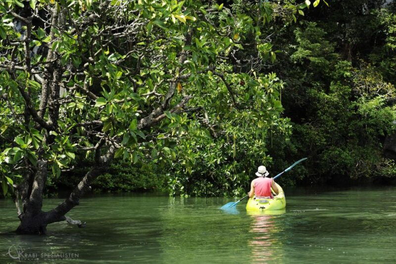 Ko Lanta: Half-Day Mangrove Kayaking Tour With Lunch - Itinerary Highlights