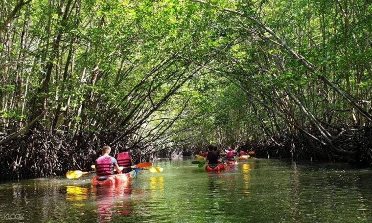 Ko Lanta: Half-Day Mangrove Kayaking Tour With Lunch - Inclusions