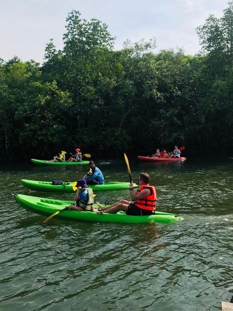 Ko Lanta: Half-Day Mangrove Kayaking Tour With Lunch - Customer Feedback