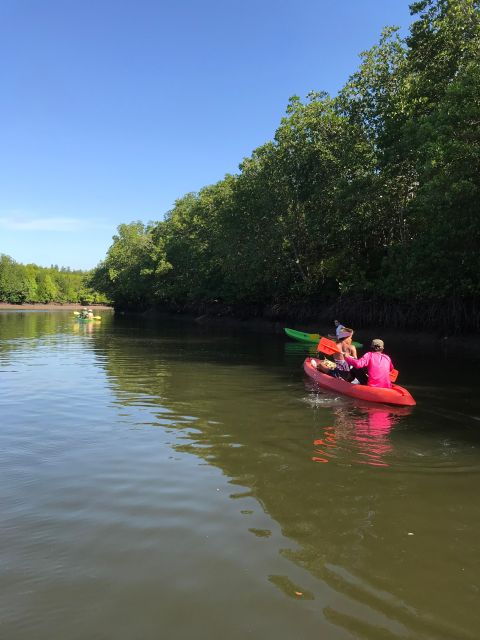 Ko Lanta: Half-Day Mangrove Kayaking Tour With Lunch - Traveler Experiences