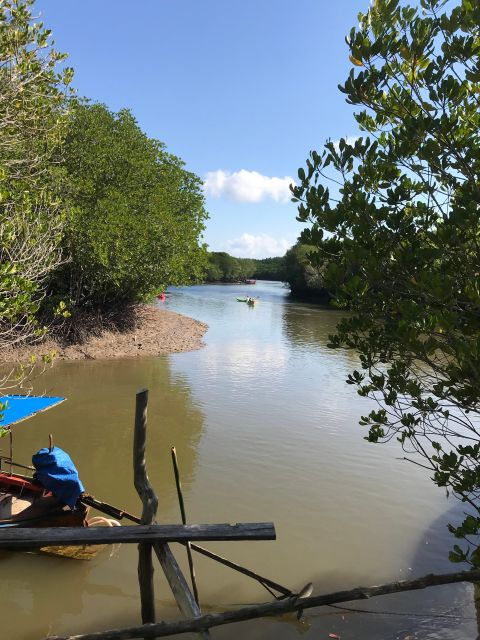 Ko Lanta: Half-Day Mangrove Kayaking Tour With Lunch - Getting to the Tour