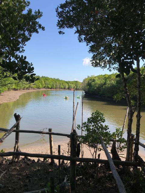 Ko Lanta: Half-Day Mangrove Kayaking Tour With Lunch - What to Expect