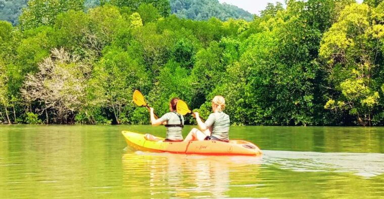 Ko Lanta: Half-Day Mangrove Kayaking With Lunch - Mangrove Kayaking Experience