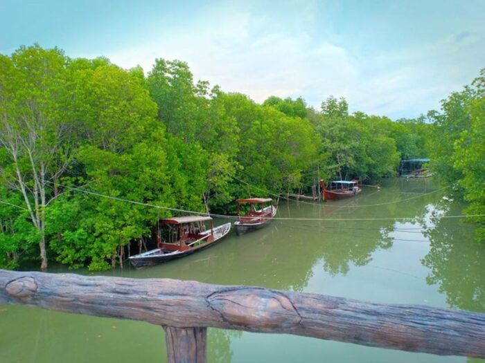 Ko Lanta: Half-Day Mangrove Kayaking With Lunch - Transportation and Pickup Locations