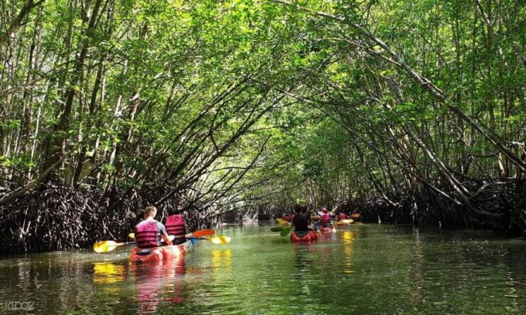 Ko Lanta: Half Day Tour Mangrove Kayaking Tour With Lunch - Tour Duration and Guide Availability