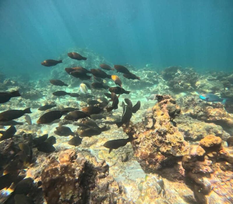 Ko Lanta: Ko Ha Snorkeling Trip by Long-tail Boat & Lunch - The Real Value of This Tour