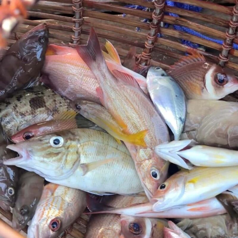 Ko Lanta: Ko Por Village Private Fishing & Kayaking Tour - Introduction: What to Expect from the Ko Por Village Private Tour