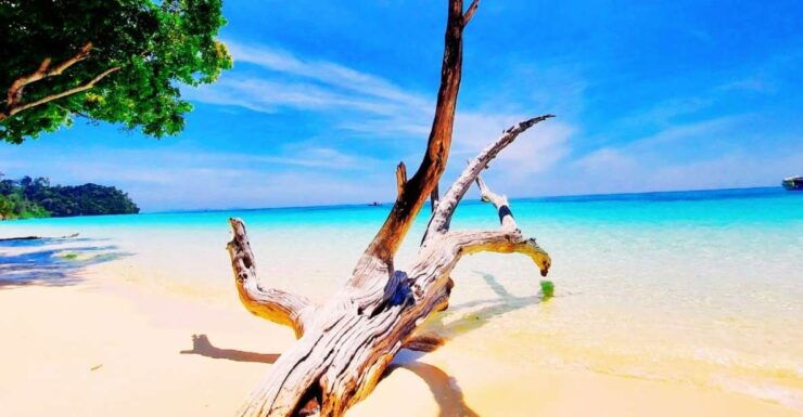 Ko Lanta: Koh Rok & Koh Haa Snorkelling Tour by Speedboat - Tour Details